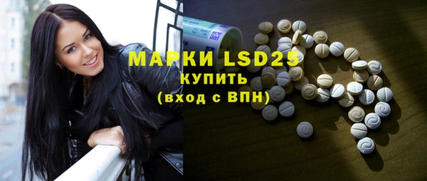 ECSTASY Белокуриха