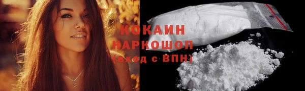 ECSTASY Белокуриха