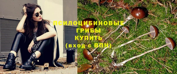 гидропоника Бородино