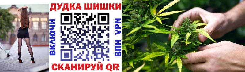 Бошки марихуана White Widow  как найти закладки  Верхняя Пышма 